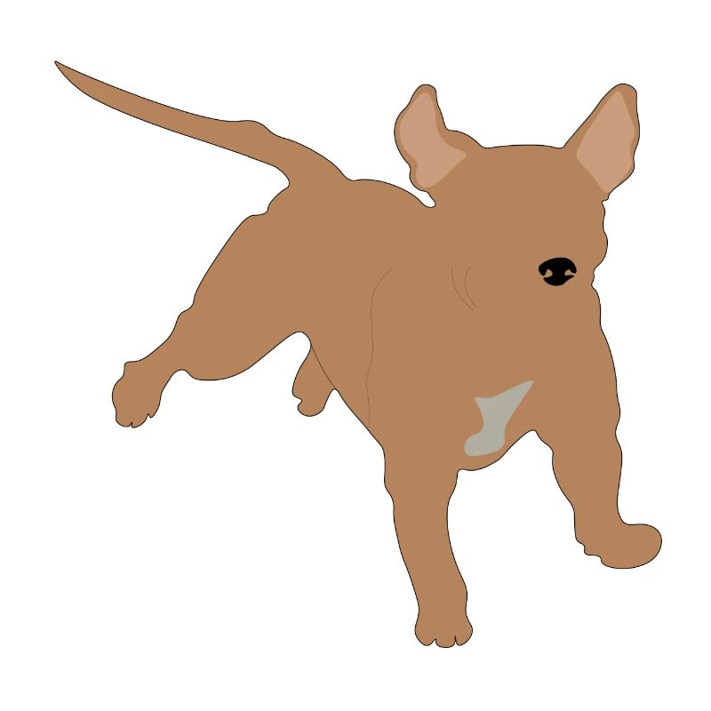 pitbull