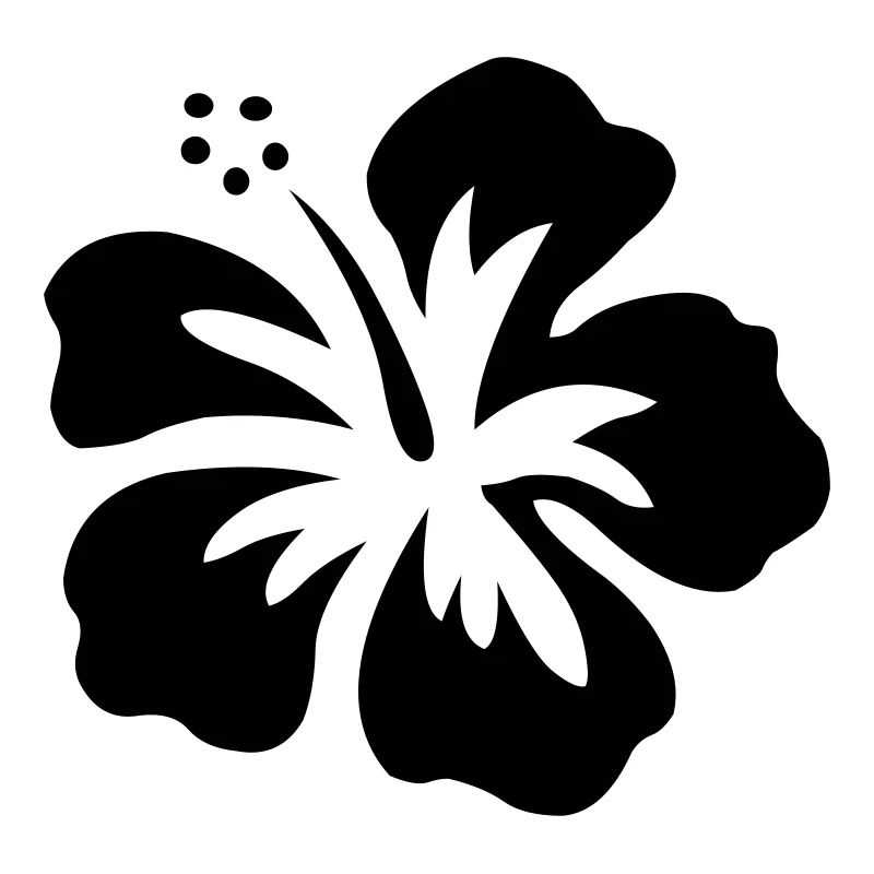 hibiskusblüte