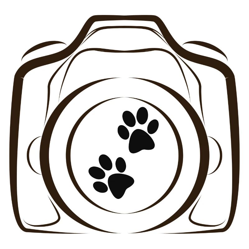 Tierfotografie
