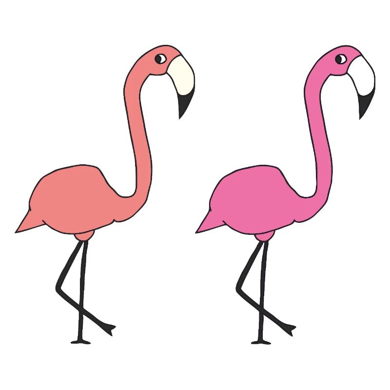 flamingo freunde