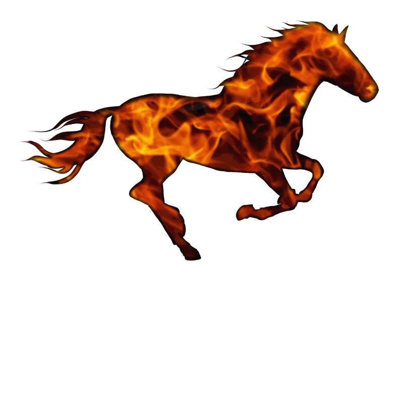 Pferd Pferd