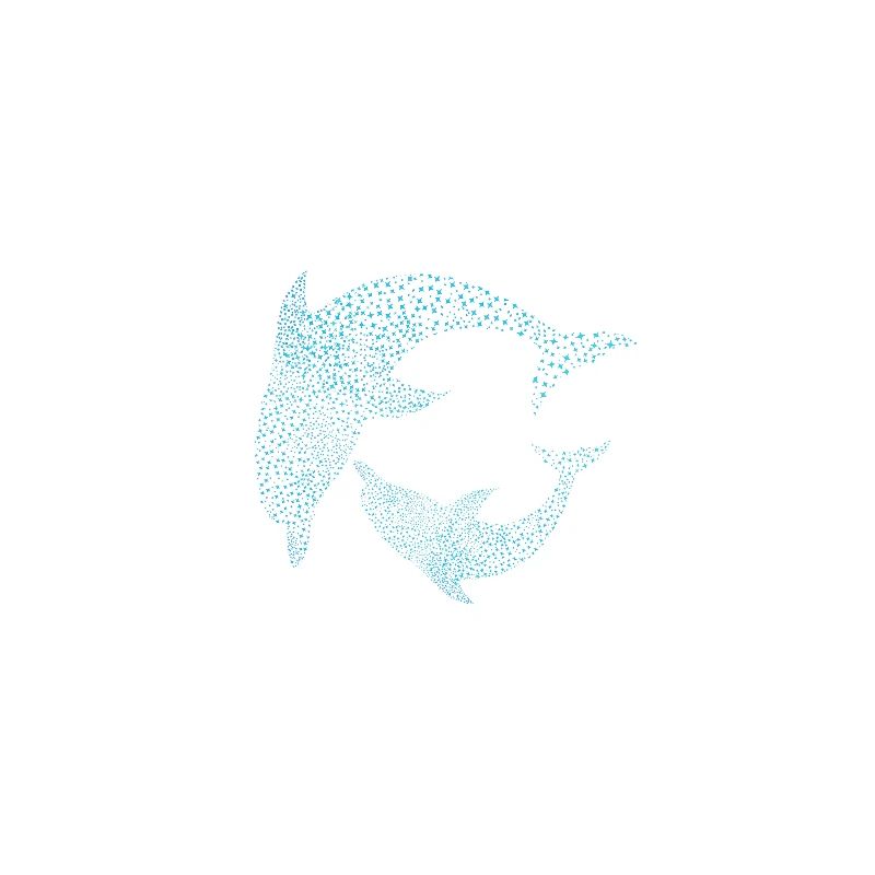Delfine Dolphins