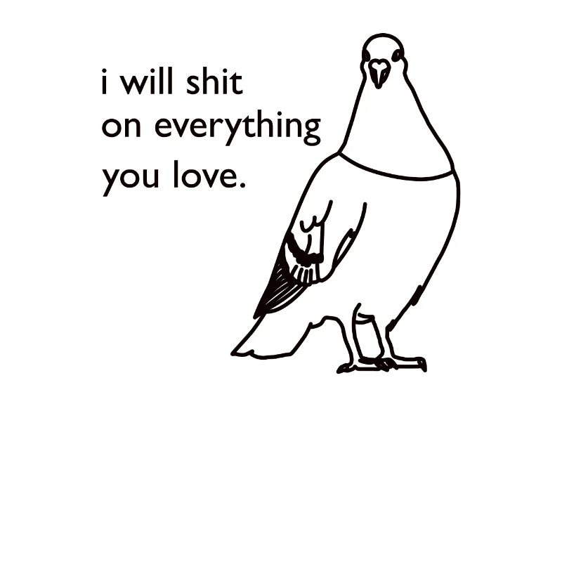 Spruch Vogel Liebe