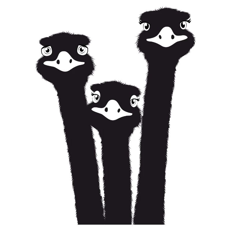 Nandu, Straußenkopf, Emu, Strauß