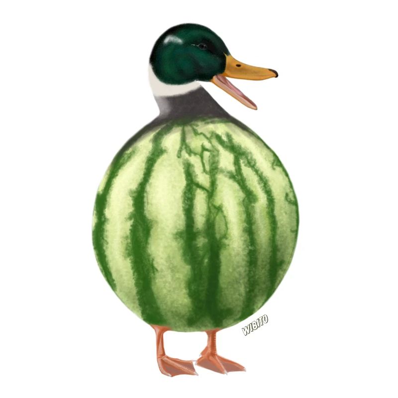 Melonen-Ente