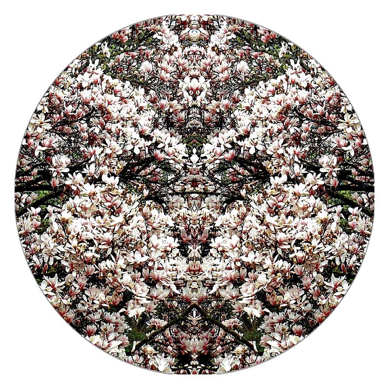 Natur Mandala Magnolien