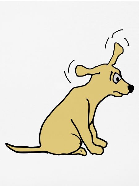 Hund