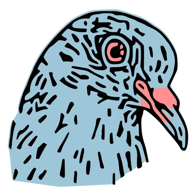 pigeonnot