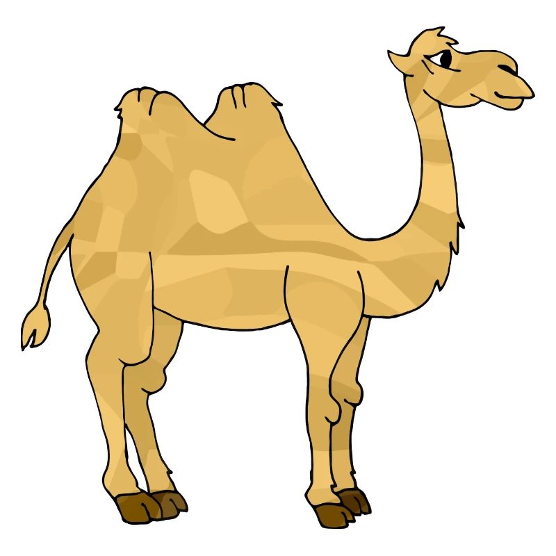Kamel