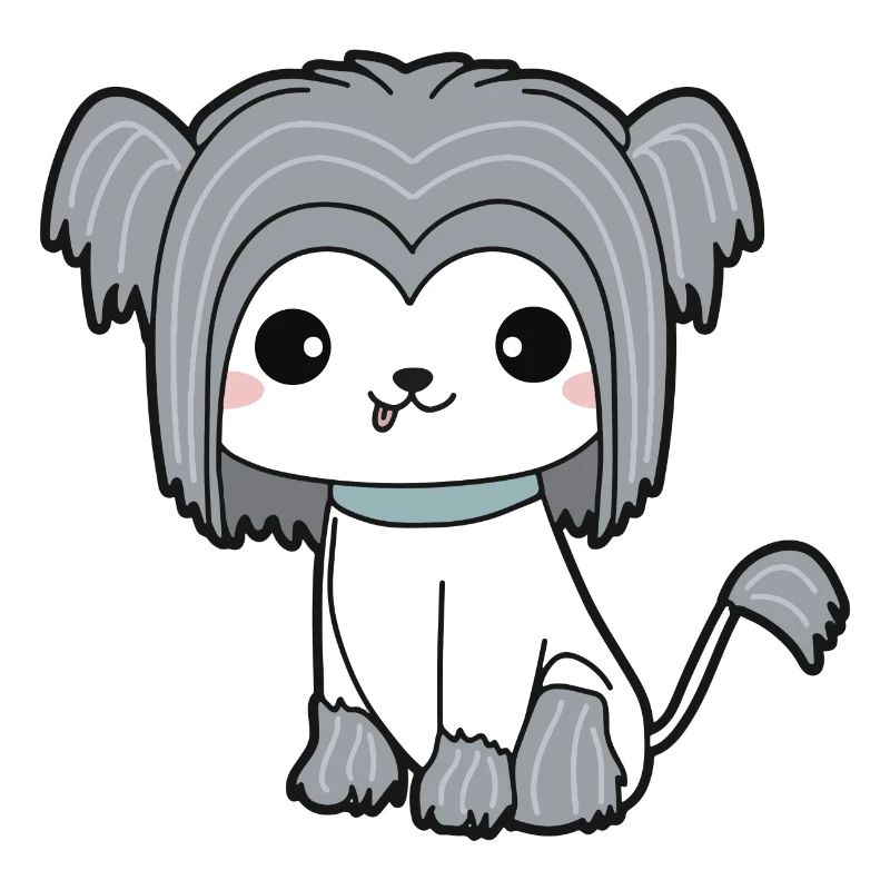 Chinesischer Schopfhund
