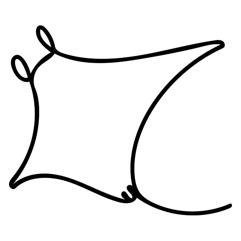 Oceanic Manta - Rochen