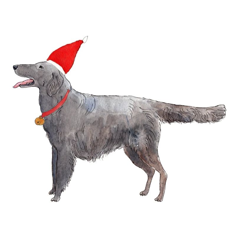 Flatcoated Retriever Weihnachten