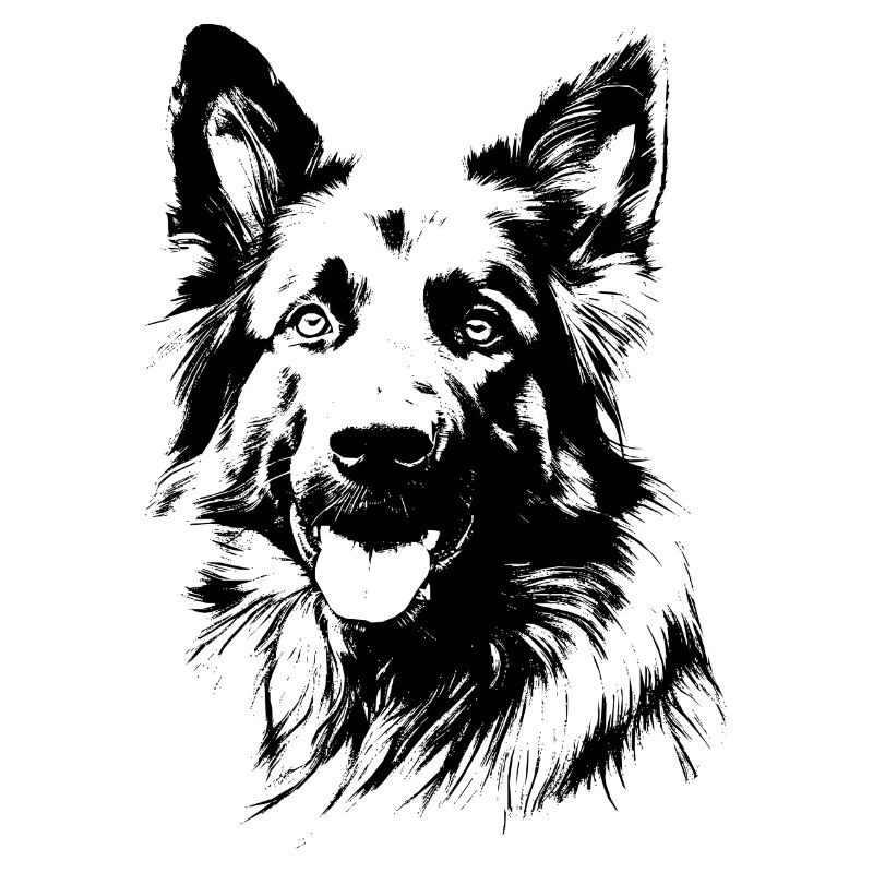 Deutscher Schäferhund