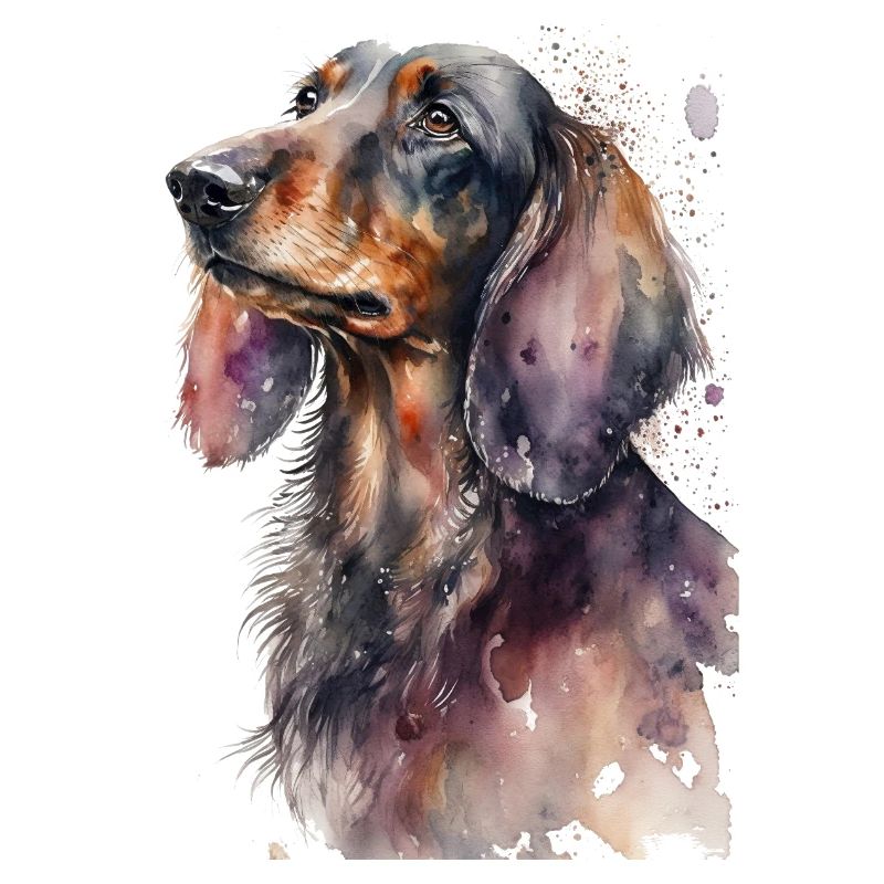 Dachshund