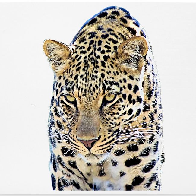 leopard