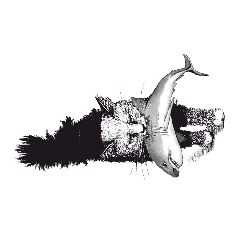 Shark-Cat