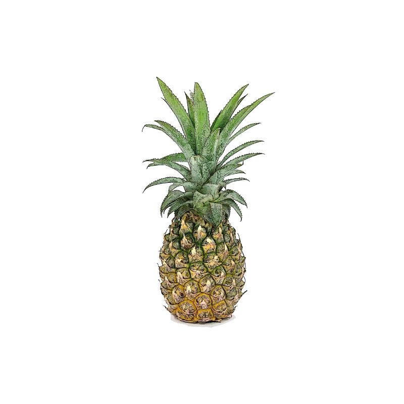 Ananas | Pineapple