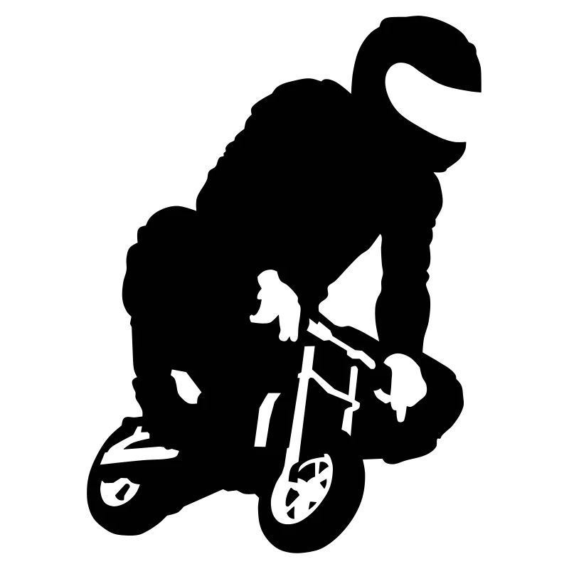Pocket bike