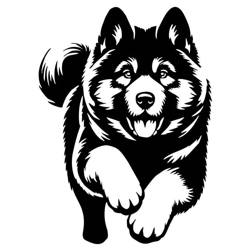 American Akita