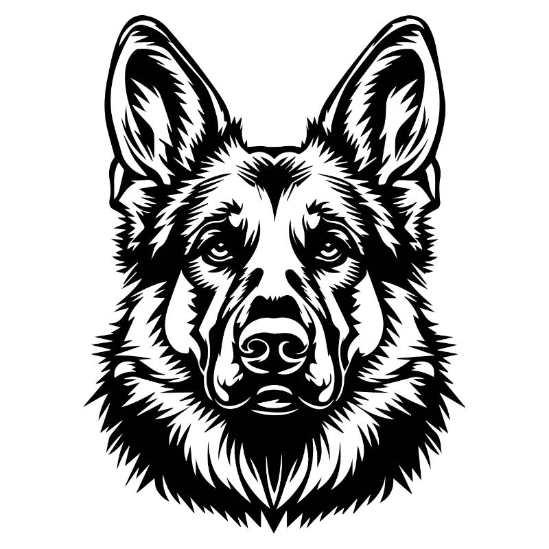 Schäferhund Hund Hundekopf