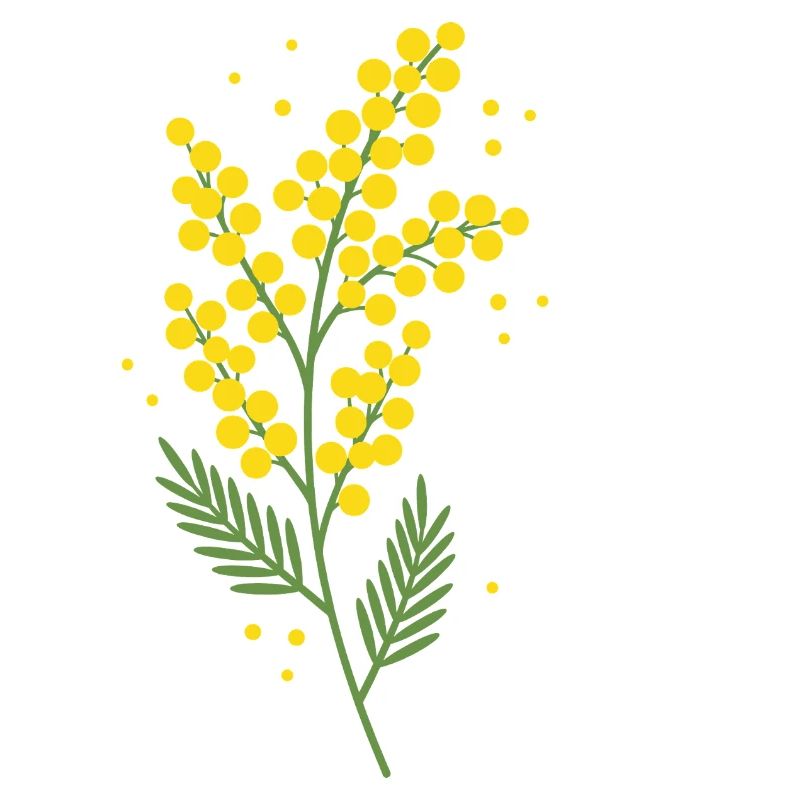 Chère Maman Fleurs