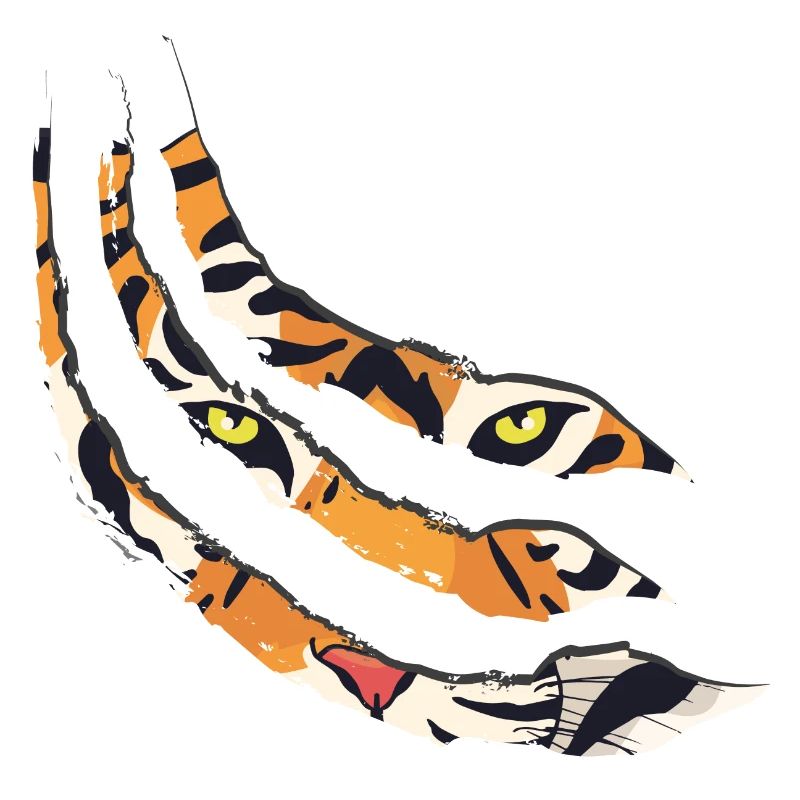 Tiger claw tiger pattern claws gift idea