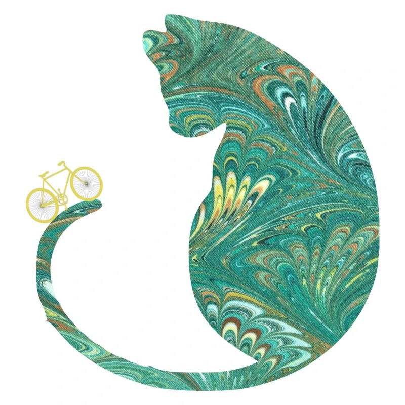 chat et vélo e 71