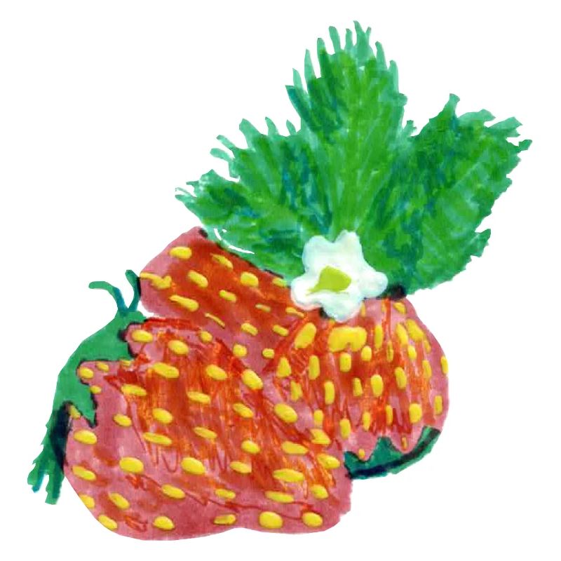 Erdbeeren Art