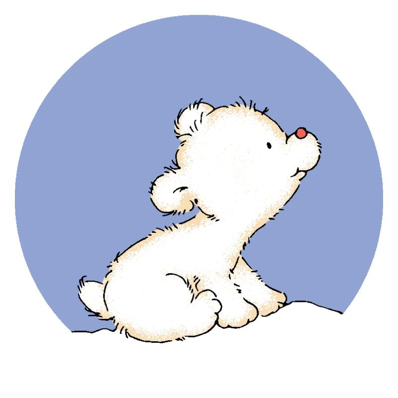 Baby Polar Bear
