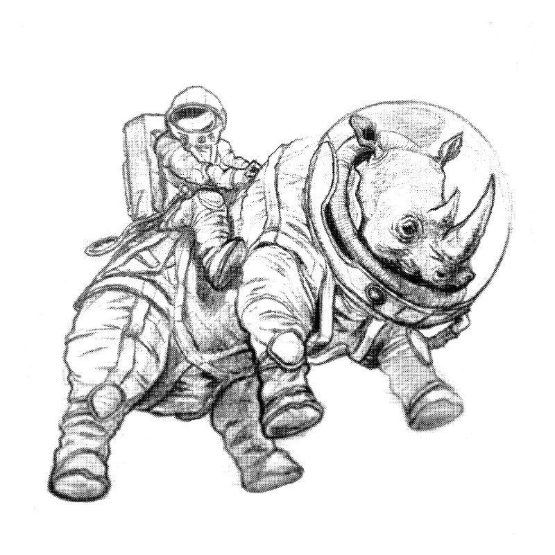 spacerhino55