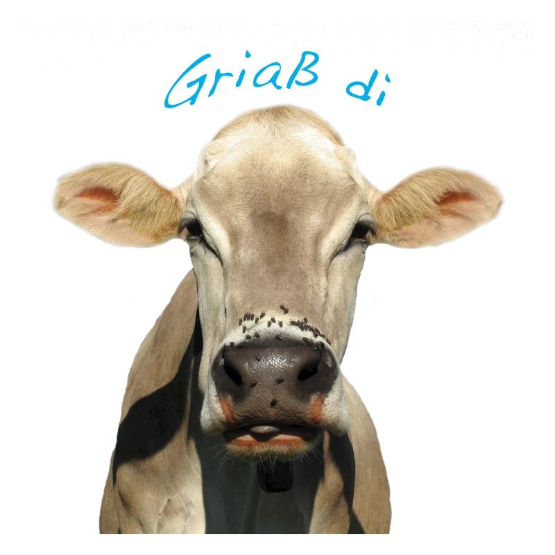 Griaß di Kuh