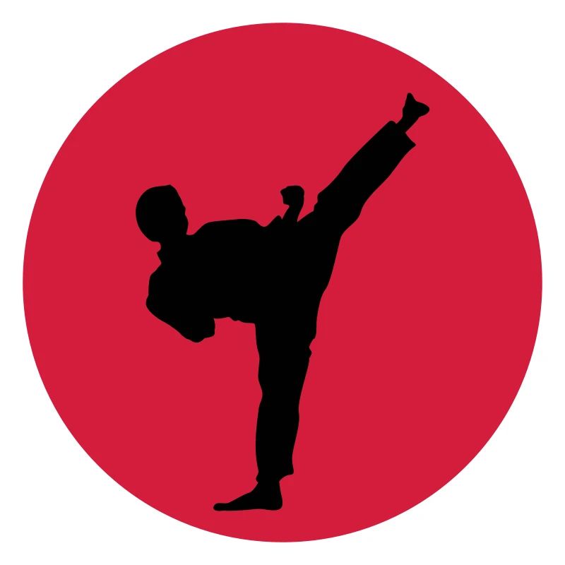 Kampfsport, Kick