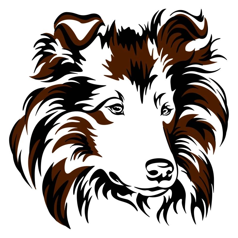 Collie