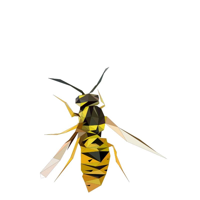 wasp2 vcrfva