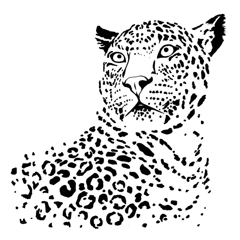 Wachsamer Leopard