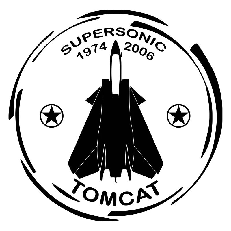 Flugzeug F14 Tomcat