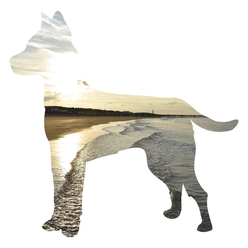 Hund-Nordsee