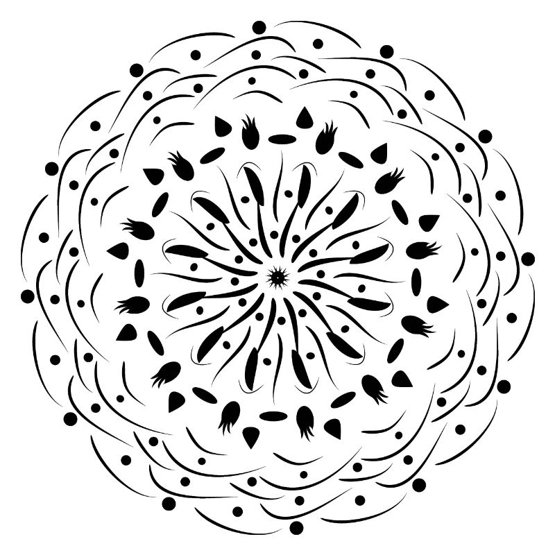 Rotating Flower in Black Pattern Gift Idea