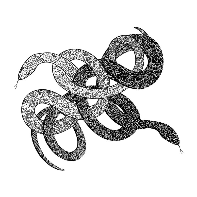 Serpents anaconda cadeau python