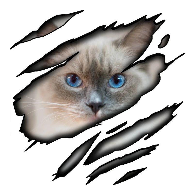 Ragdoll in mir