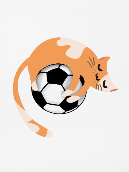 Katze mit Fußball