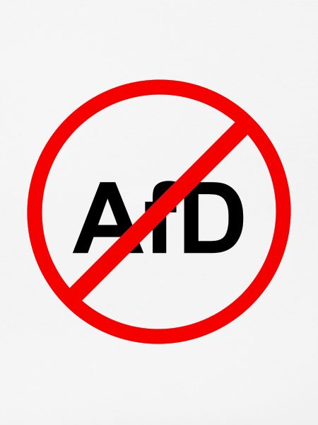 No AfD Straßenschild