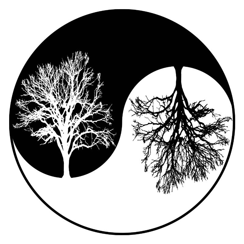 Ying-Yang-Baum