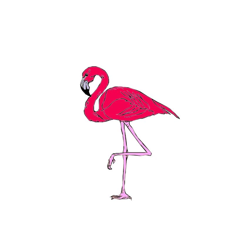 Pink Flamingo