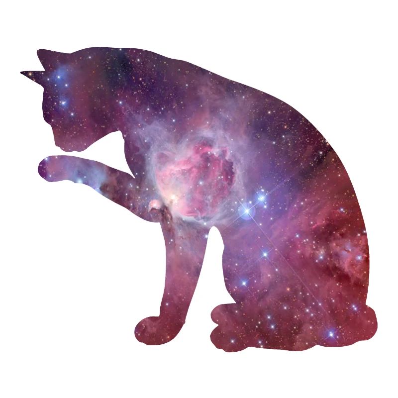 Cat universe