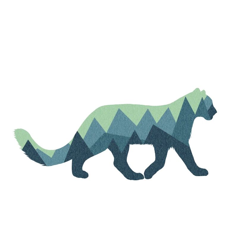 Schnee Leopard