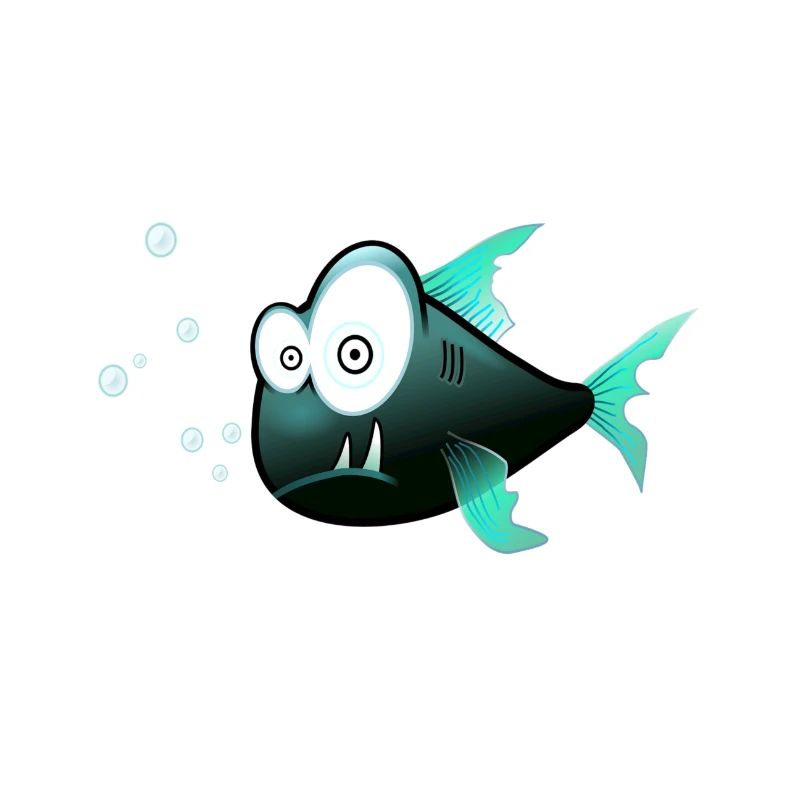 Fisch, Geschenk, Idee