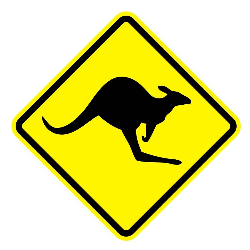 kangoroo_shield__f2