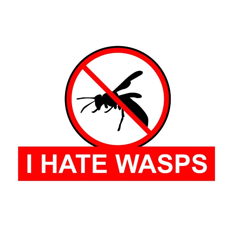 I HATE WASPS - I hate wasps