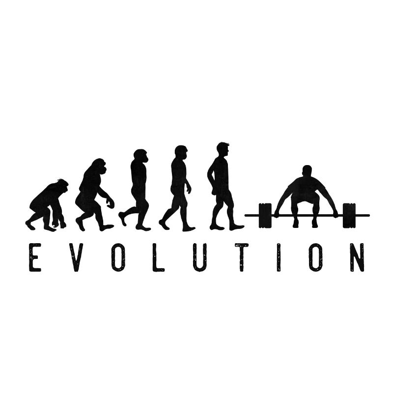 Gym Evolution
